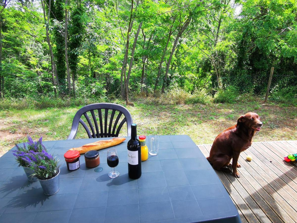 Camping Le Coin Charmant Chauzon Bagian luar foto